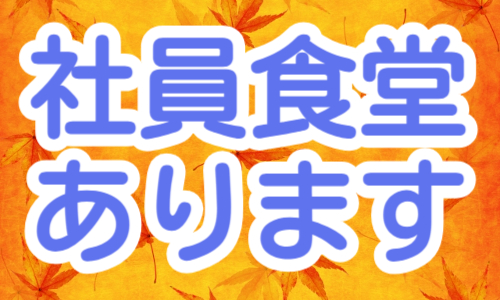 株式会社ジェイウェイブ  柏支店の派遣社員 経営・事業企画・人事・事務の求人情報イメージ5