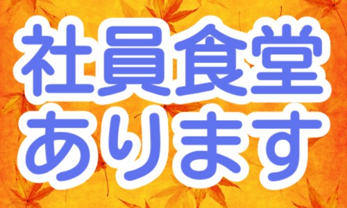 株式会社ジェイウェイブ 柏支店の派遣社員 経営・事業企画・人事・事務の求人情報イメージ5