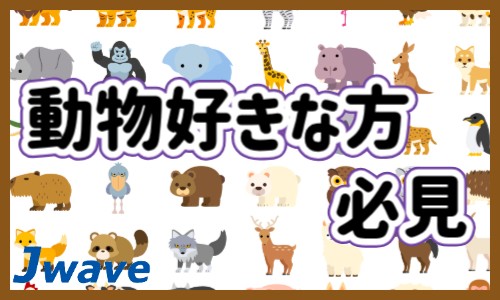 株式会社ジェイウェイブ 富士支店の派遣社員 農林漁業 その他の求人情報イメージ6