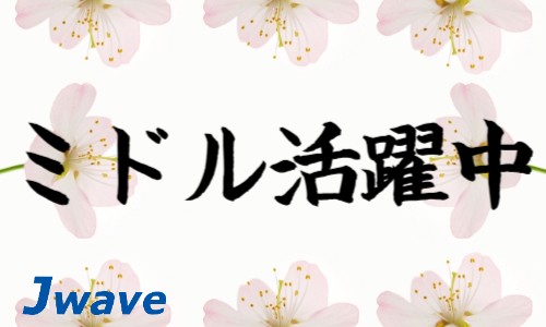 株式会社ジェイウェイブ 成田支店の派遣社員 倉庫・物流・生産管理の求人情報イメージ5