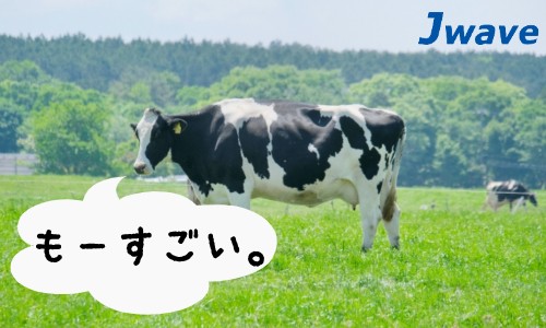 株式会社ジェイウェイブ 八幡支店の派遣社員 倉庫・物流・生産管理 製造・工場の求人情報イメージ3