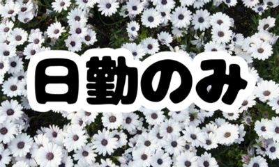 株式会社ジェイウェイブ  周南支店の派遣社員 倉庫・物流・生産管理求人イメージ