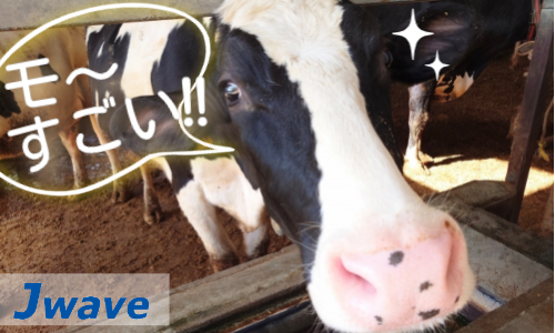 株式会社ジェイウェイブ 富士支店の派遣社員 倉庫・物流・生産管理 製造・工場の求人情報イメージ3