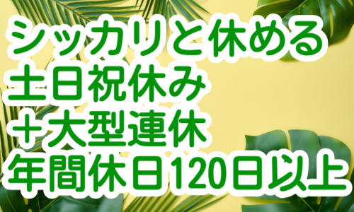 株式会社ジェイウェイブ  春日部支店の派遣社員 倉庫・物流・生産管理の求人情報イメージ5