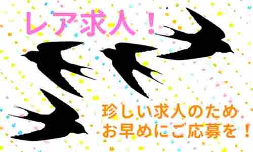 株式会社ジェイウェイブ 成田支店の派遣社員 倉庫・物流・生産管理の求人情報イメージ5