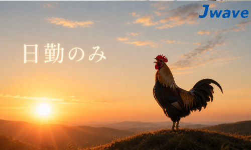 株式会社ジェイウェイブ 柏支店の派遣社員 エンジニアリング・設計開発 製造・工場求人イメージ