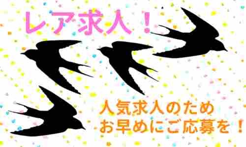 株式会社ジェイウェイブ 成田支店の派遣社員 倉庫・物流・生産管理 製造・工場の求人情報イメージ5
