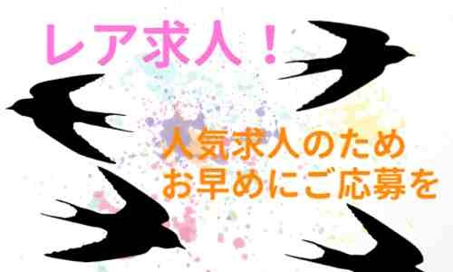 株式会社ジェイウェイブ 成田支店の派遣社員 倉庫・物流・生産管理の求人情報イメージ4