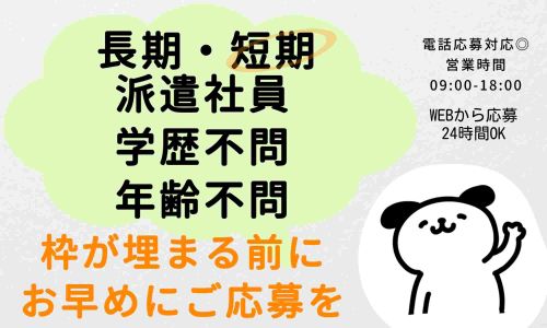 株式会社ジェイウェイブ 成田支店の派遣社員 倉庫・物流・生産管理の求人情報イメージ8
