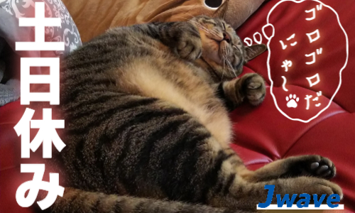 株式会社ジェイウェイブ 行橋支店の派遣社員 経営・事業企画・人事・事務の求人情報イメージ4