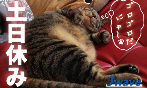 株式会社ジェイウェイブ 行橋支店の派遣社員 経営・事業企画・人事・事務の求人情報イメージ4