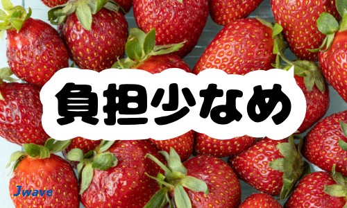 株式会社ジェイウェイブ 鹿児島支店の派遣社員 倉庫・物流・生産管理 製造・工場の求人情報イメージ10