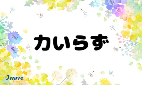 株式会社ジェイウェイブ 宗像支店の派遣社員 製造・工場 その他の求人情報イメージ8
