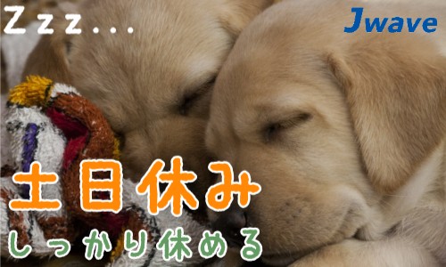 株式会社ジェイウェイブ 宇都宮支店の派遣社員 経営・事業企画・人事・事務の求人情報イメージ6