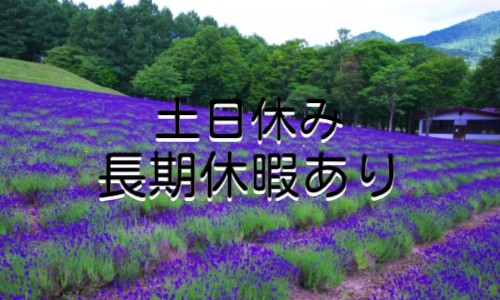 株式会社ジェイウェイブ 宇都宮支店の派遣社員 倉庫・物流・生産管理 製造・工場の求人情報イメージ5