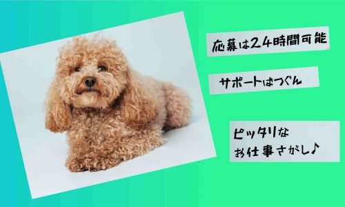 株式会社ジェイウェイブ 成田支店の派遣社員 倉庫・物流・生産管理求人イメージ